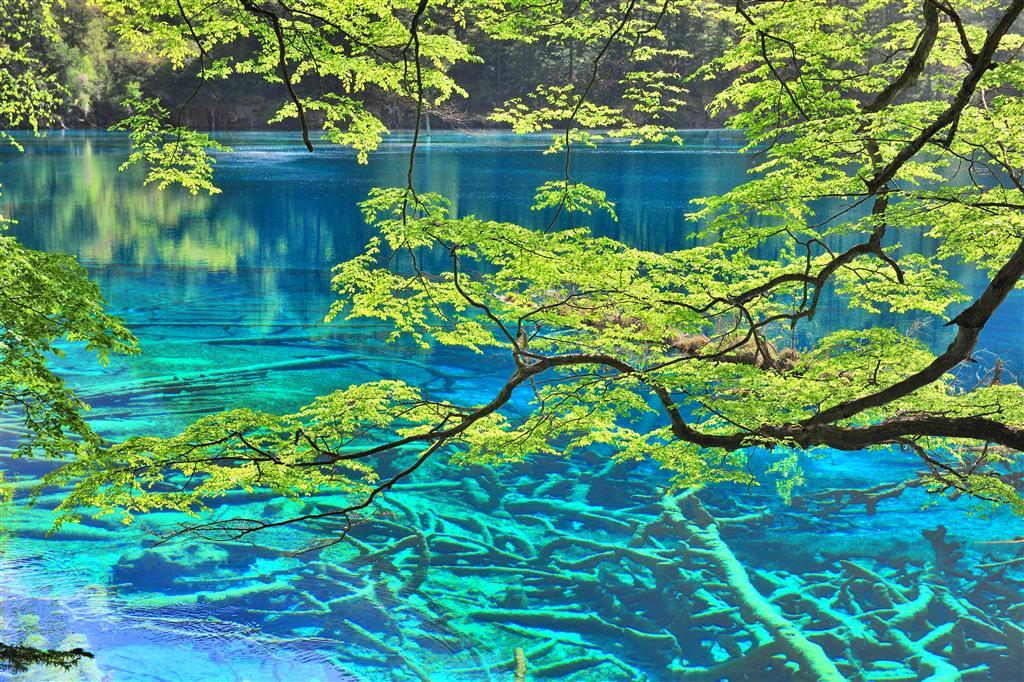 Sheraton Jiuzhaigou Resort Fasilitas foto